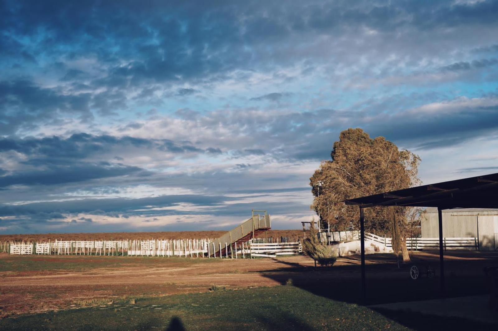 Estancia Tatay Trelew Esterno foto